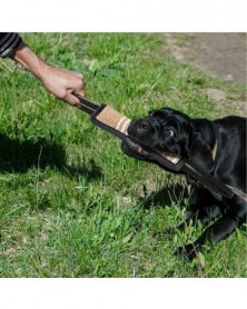 white-Durable Dog Training...