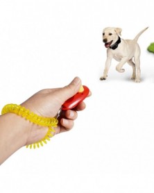 Random Color - Dog Training...