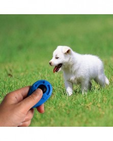 white - Pet Cat Dog...