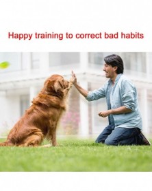 Two In One Dog Training...