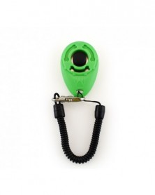 Emerald green - 1 Piece Pet...