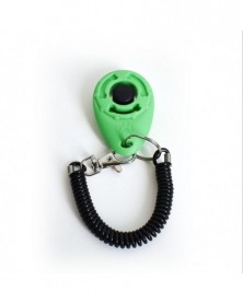 XS size-Light Green - Pet...