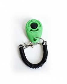 Light Green - Pet Trainer...