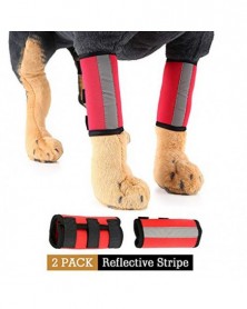 S size-1 pair Red - Dog...