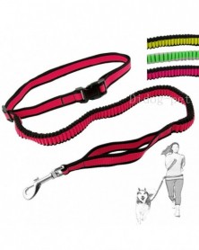 Hands Free Dog Leash...