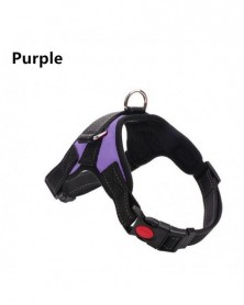 XL size-Purple - Pet Dog...