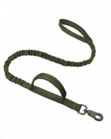 L size-Green Leash - Dog...