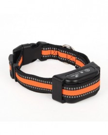 dog collar-UK Plug - Best...