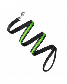 6102-green - Dog Leash Dual...