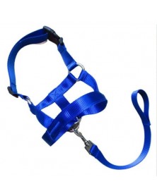 XXL size-Blue - Nylon Dogs...