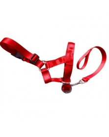 XXL size-Red - Nylon Dogs...