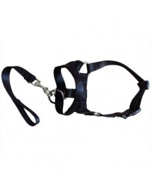 XL size-Black - Nylon Dogs...