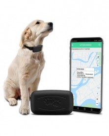 Used globally Pet GPS...