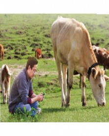 Neck Collar GPS Tracking...