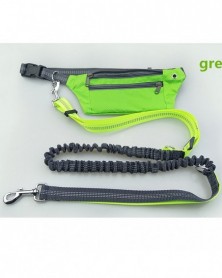 10 Pcs Leashes chain for...