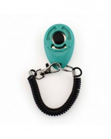 Cyan - Pet Whistle Oval...