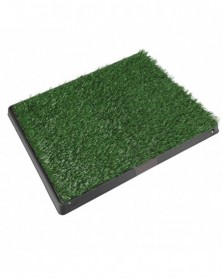 Army Green-Tray Pet...