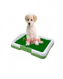 New Dog Puppy Potty Trainer...