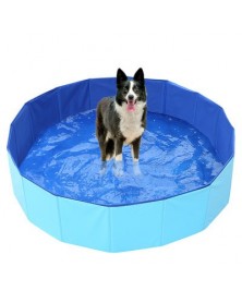 Blue-120x30-Portable Dog...