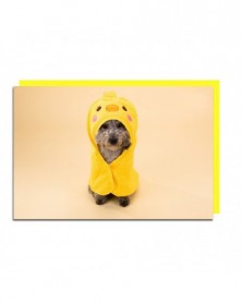 Yellow-M 45x45cm-Pet Dog...