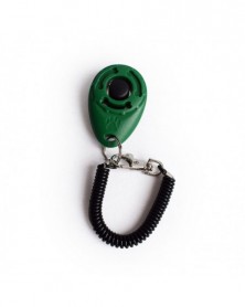 Green - Pet Whistle Oval...