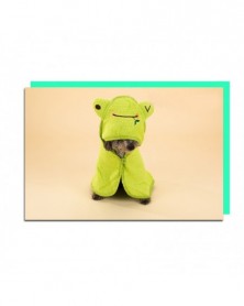 Green-M 45x45cm-Pet Dog...