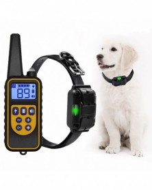 800m Electric Dog Training...