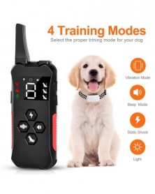 for 1 dog - 800m Electronic...