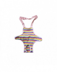 Rainbow Stripes-L size-Dog...