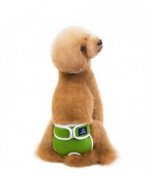 Green-XXL size-Dog Diapers...