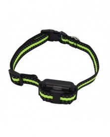 AU Plug-Dog Collar Green -...