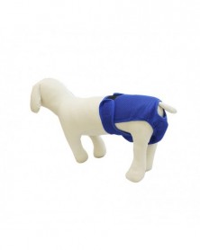 Blue-M 46-66cm-Female Dog...