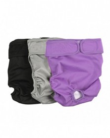 XS-3 Pack Washable Female...