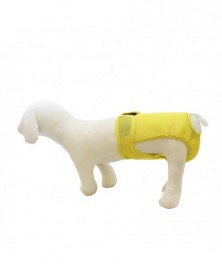 Yellow-S 30-42cm-Female Dog...