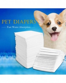 60x45cm50Pcs-Multi-size Pet...