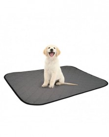 Black-60x45cm-Pet Absorbent...