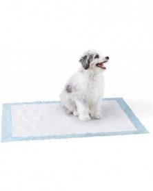 45X60CM 500G-Basics Dog and...