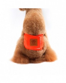 Orange-S size-Pet Male Dog...