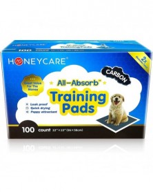 22 X23 100 PCS-HONEYCARE...