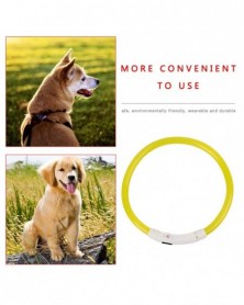 Hot Newest Dog Collar USB...