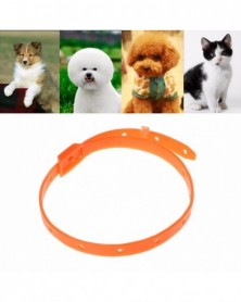 S size-Pet Dog Cat Collars...