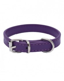 XXS size-7 - Dog Collars...