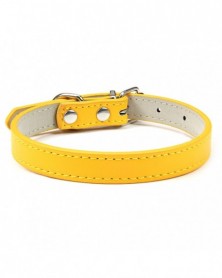 XXL size-Orange Dog Collar...