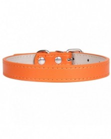 XL size-Orange-Hot!Pet...