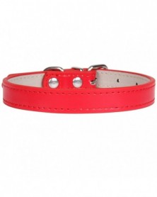 XL size-Red-Hot!Pet Product...