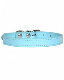 XXXS size-15-Dog Collars...