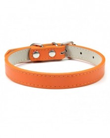 L 50cm-Orange-Pet Supplies...