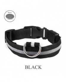 XL size-white-Dog Collar...