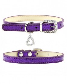 M size-C-purple-Dog Neck...