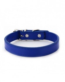 2.5x52cm-Blue-Dog Collars...